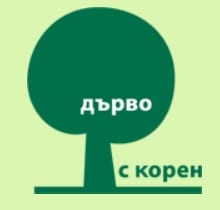 Бряст на 1000 години беше обявен за „Дърво с корен“ за 2013 г.