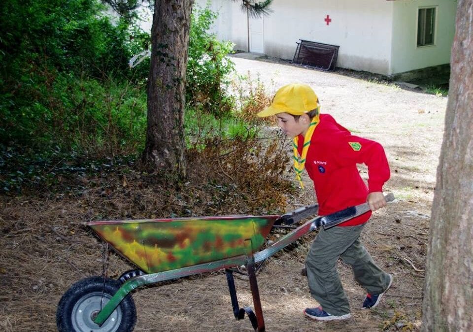 Доброволци в действие