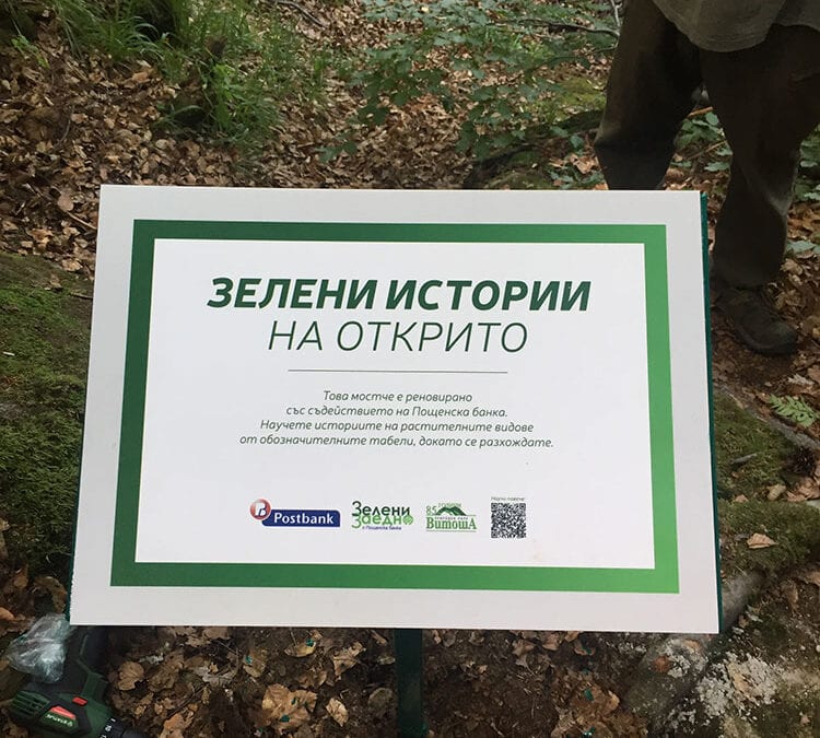 Доброволци на Пощенска банка обновиха екопътека на Витоша