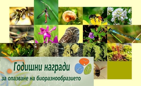 dYqp-biodiversity