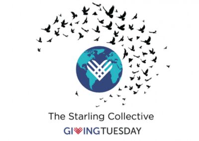 Starling Collective ще подкрепи дарителски кампании