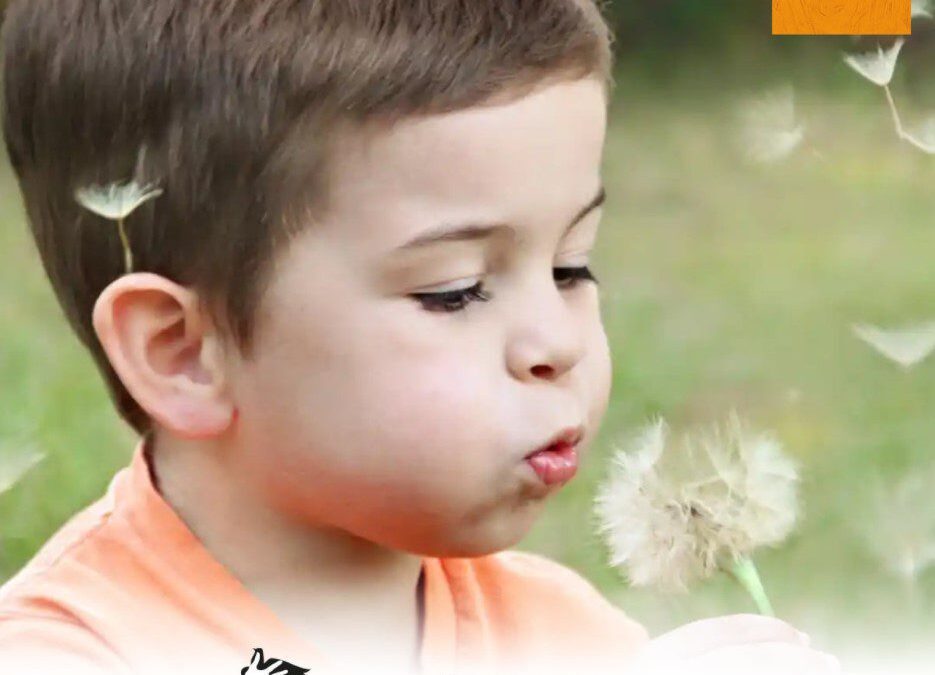 Дарителската кампания на Райфайзенбанк ще подкрепи 15 каузи