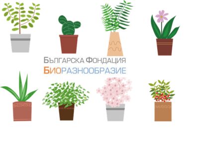 Курс по ботаника с Българска фондация Биоразнообразие