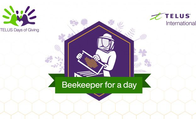 Над 500 доброволци от TELUS International Bulgaria помагат на българските пчелари