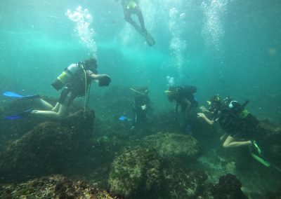 40 деца и младежи изследваха отблизо подводния свят на Черно море