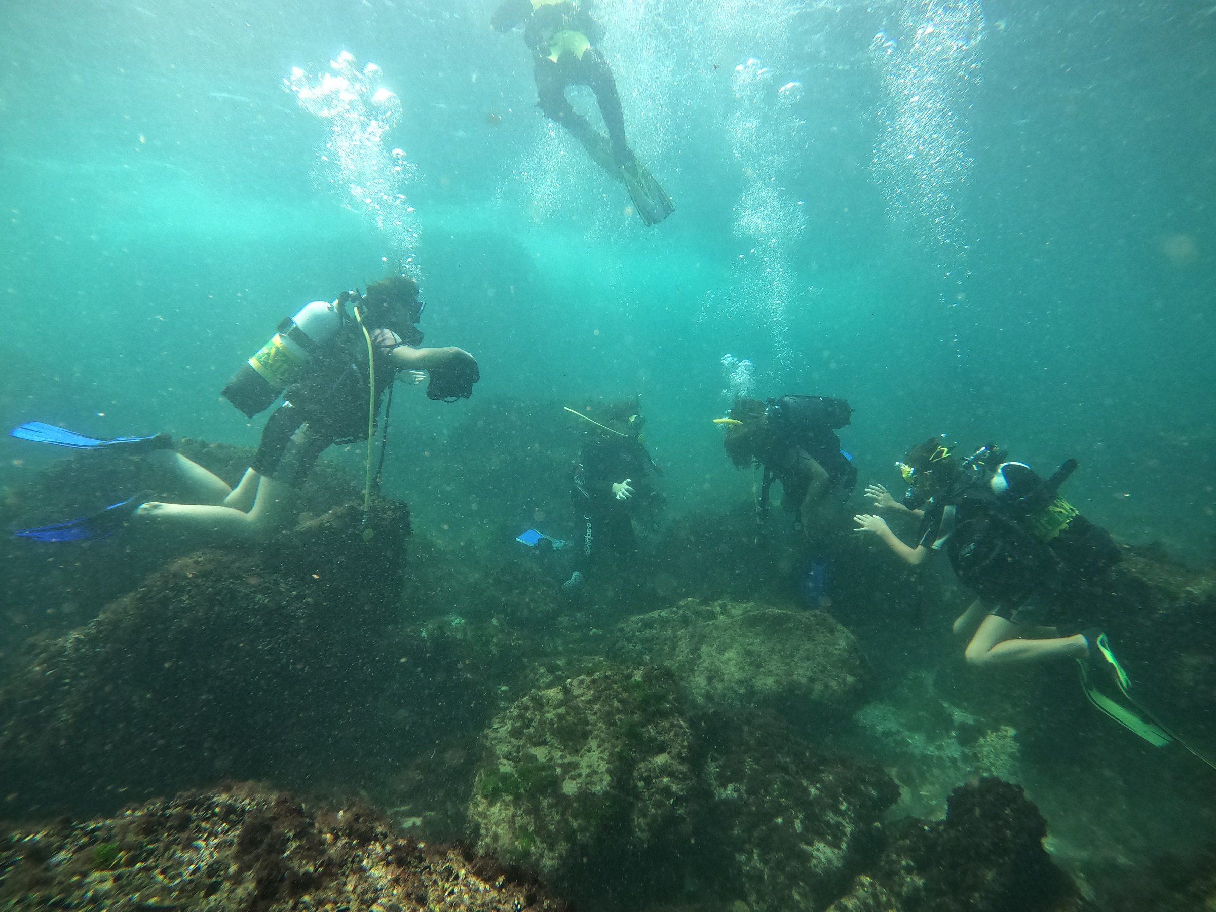 DCIM100GOPROGOPR4203.JPG