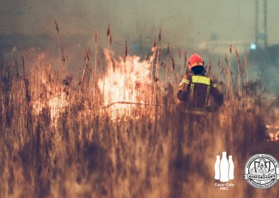 Фондацията на Кока-Кола ХБК дари 200 000 лв. за Националната асоциация на доброволците