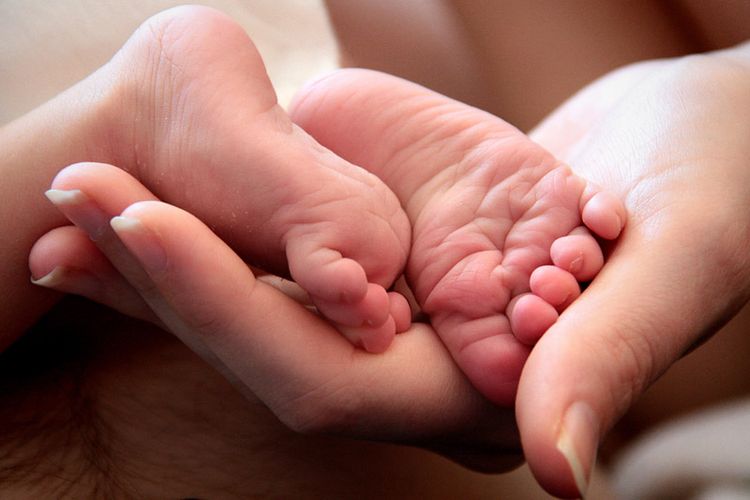 „Малки стъпки на големи герои“ продължава до 17 ноември