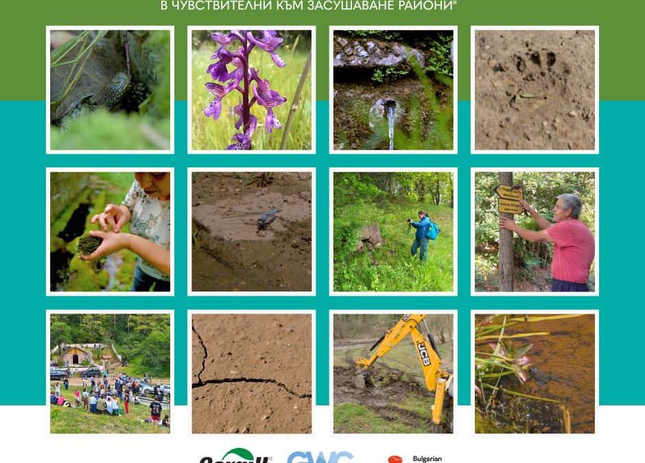 „Биоразнообразие“ възстанови чешми в Годината на водите