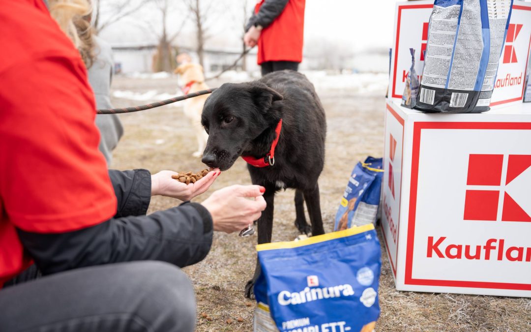 Kaufland дари 12 тона кучешка храна за една година