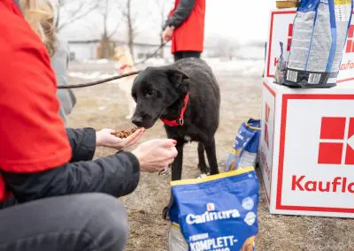 Kaufland дари 12 тона кучешка храна за една година