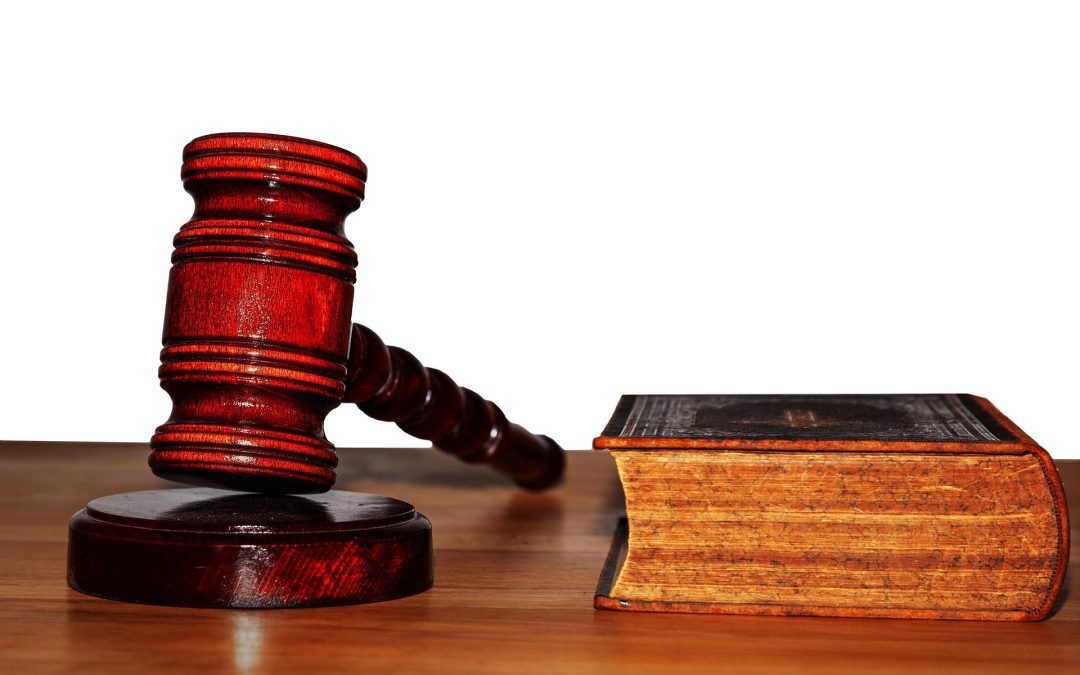 БДФ: Нестопанските организации в обществена полза не са лобисти