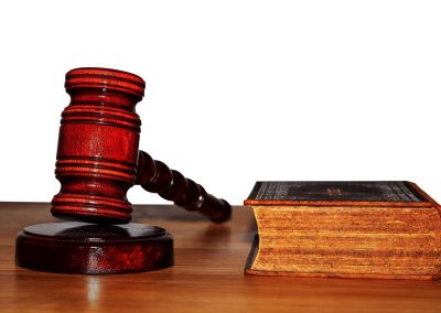 БДФ: Нестопанските организации в обществена полза не са лобисти