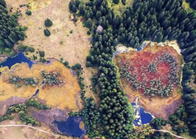 DEVIN и БФБ създадоха първия в България наръчник за възстановяване и опазване на торфища