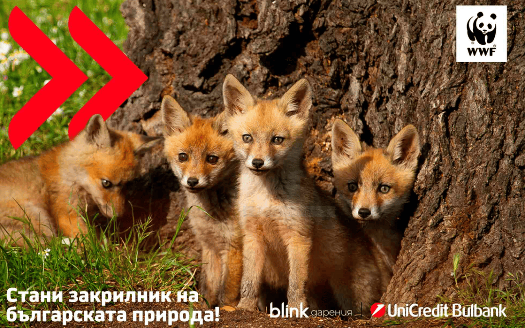 WWF България и УниКредит Булбанк с дарителска кампания за опазване на българската природа