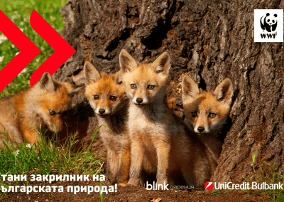 WWF България и УниКредит Булбанк с дарителска кампания за опазване на българската природа