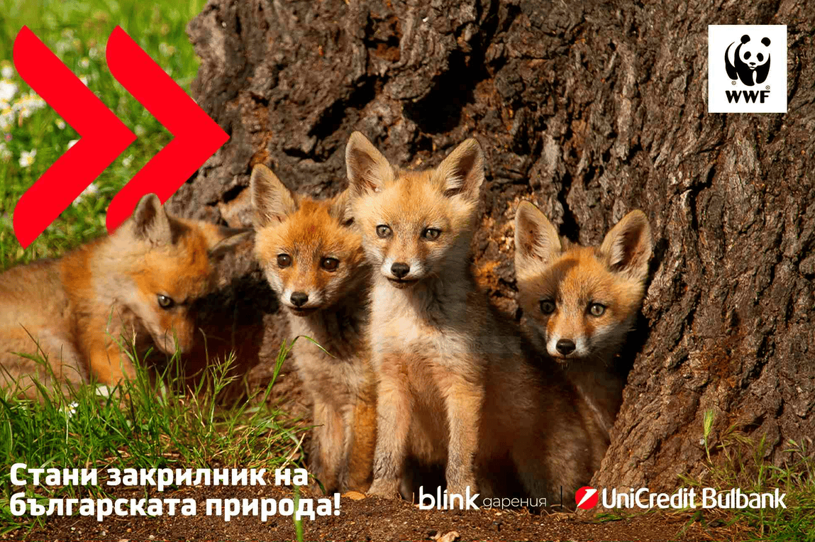 WWF UniCredit campaign